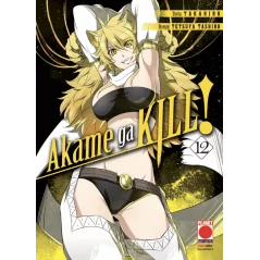 Akame Ga Kill 12|4,90 €