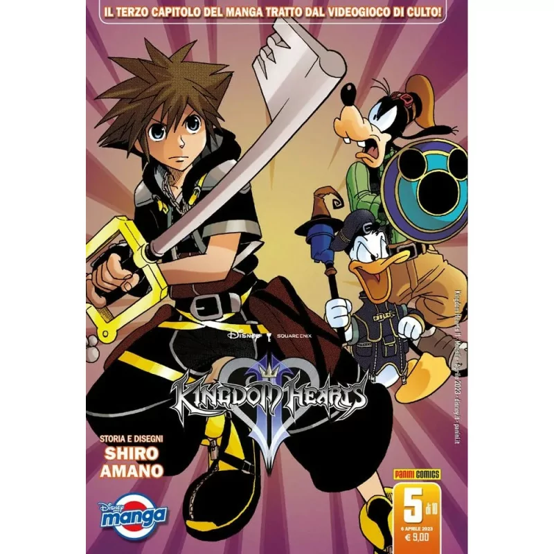 Kingdom Hearts 2 Silver 5