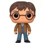 Funko Pop Harry Potter 118 Special Edition