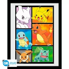 Pokemon Poster Incorniciato