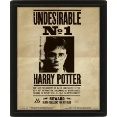 Harry Potter Sirius Black Wanted Quadro 3D
