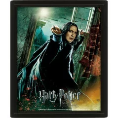 Piton Harry Potter Quadro 3D|14,99 €