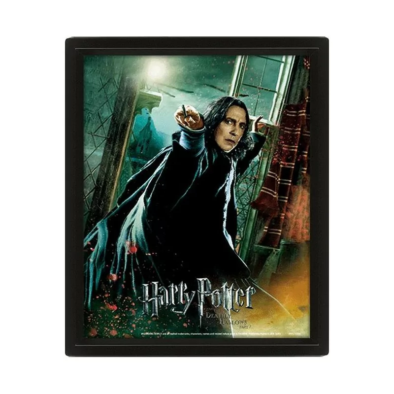 Piton Harry Potter Quadro 3D