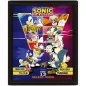 Sonic the Hedgehog Select Your Fighter Poster 3D Lenticular